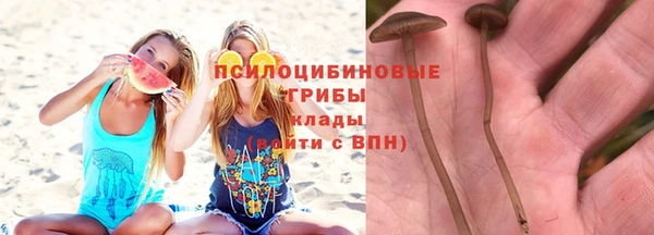 бошки Алзамай