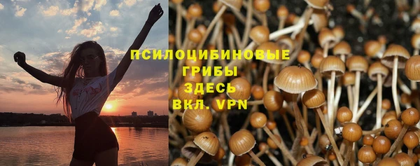 бошки Алзамай