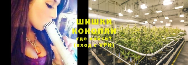 бошки Алзамай