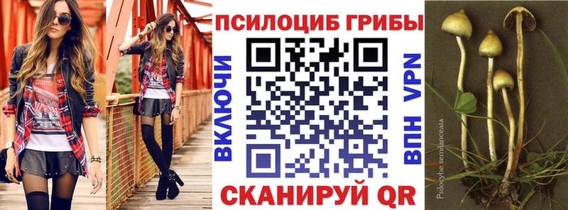 Псилоцибиновые грибы ЛСД  mega ссылки  Каневская 